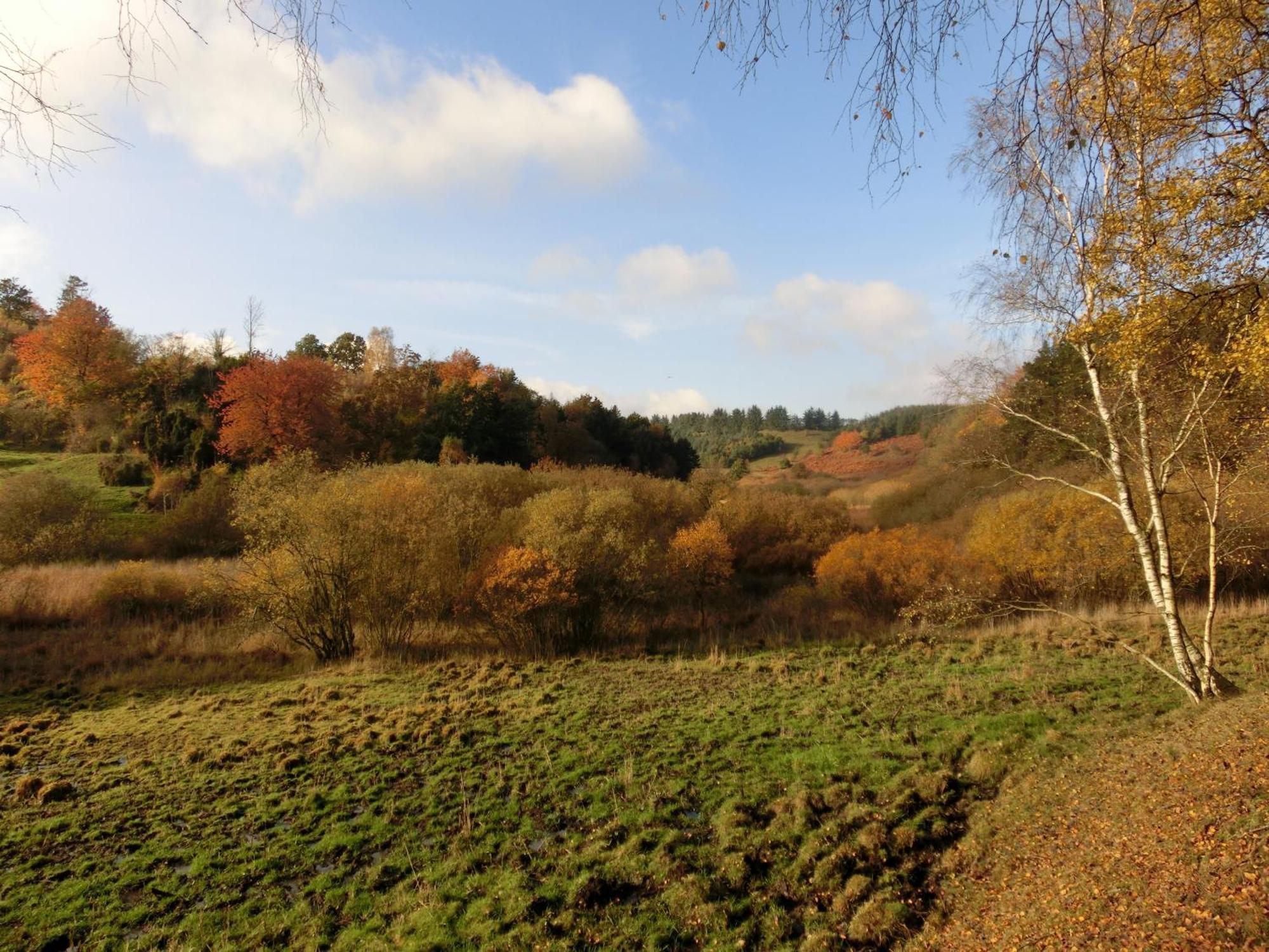 Hotel Bramslevgaard Hobro Zewnętrze zdjęcie